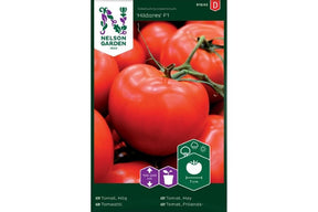 Kraftig tomatplante med jevne røde tomater, utviklet for høy avling