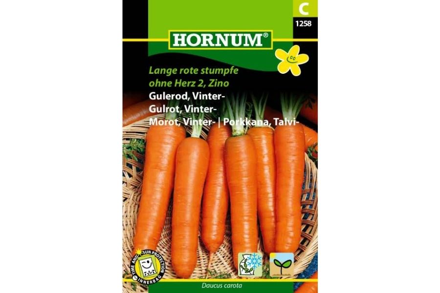 Vintergulrot 'Lange Rote Stumpfe, Zino' – Utbytterik og Smakfull