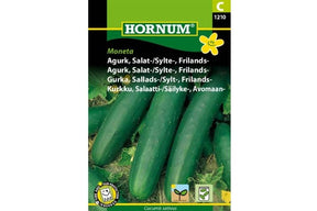 Frilandsagurk med grønne, bitterfrie frukter som vokser på planten