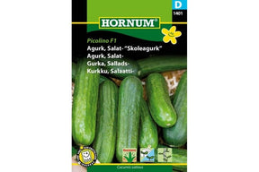 Liten, sprø agurk i miniformat vist på planten.