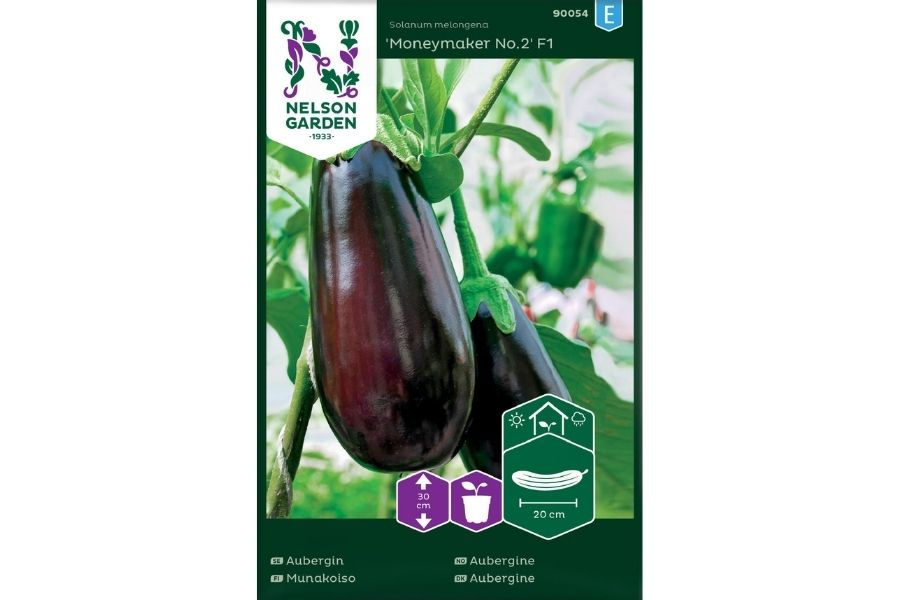 Aubergine, Moneymaker Nr.2 F1