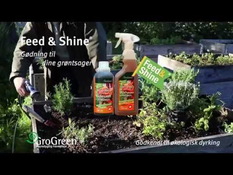 GroGreen® Feed and shine - bladgjødsel til grønnsaker konsentrat 500 ml