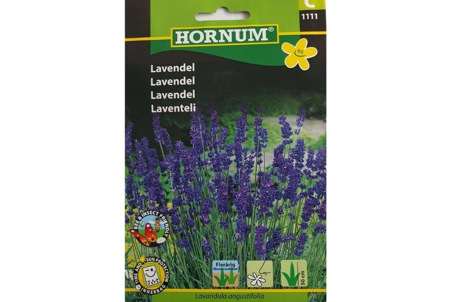 Lavendel Blå