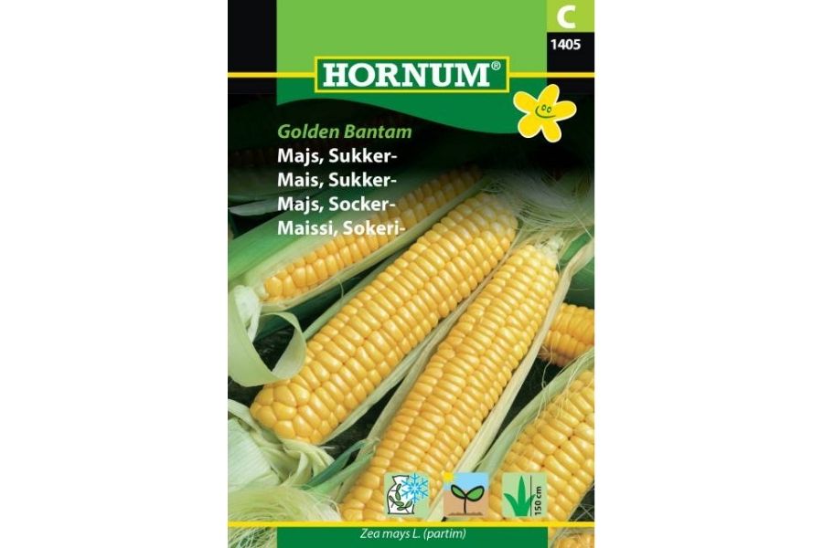 Frø Mais ‘Sukker Golden Bantam’ – Tradisjonell Sort med Søte, Gylne Kolber