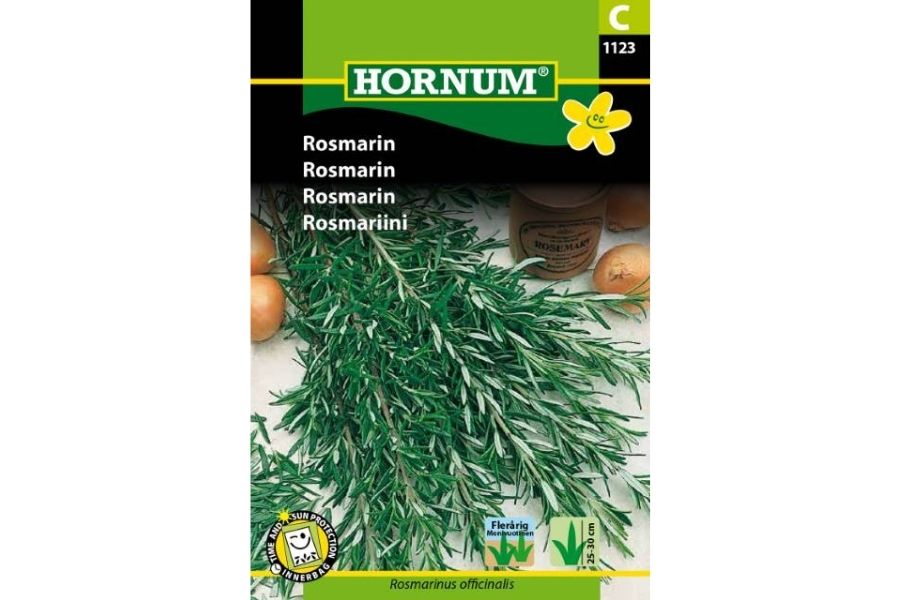 Rosmarinplante med tette, grønne nåleblader og karakteristisk duft