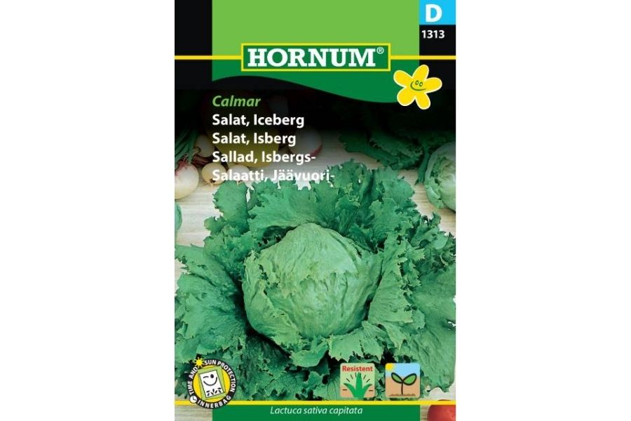 Salatfrø – Isberg Calmar | Store, sprø og smakfulle hoder