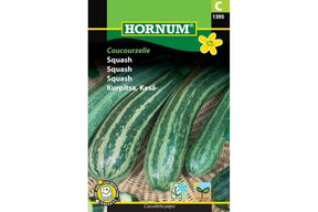 Stripet squash med lyse og mørke grønne striper i vekst