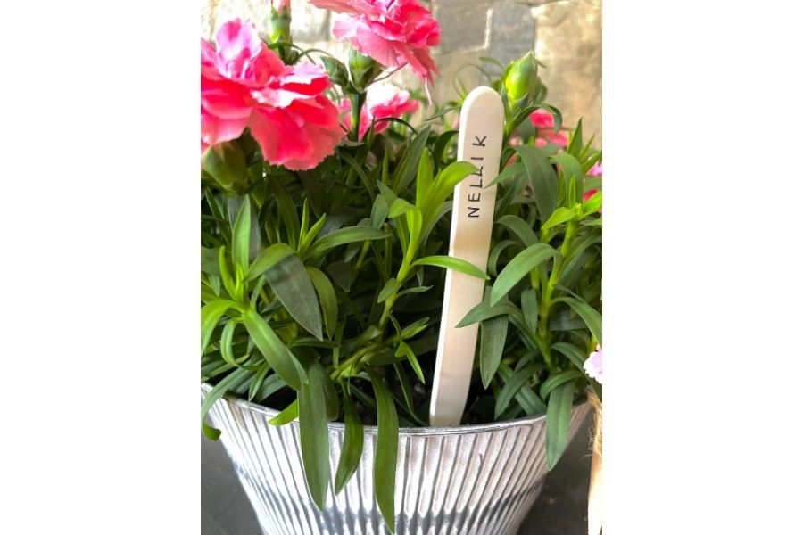 Rette Stikketiketter Hvit 15 cm – Planteetiketter for potter og bed